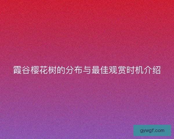 霞谷樱花树的分布与最佳观赏时机介绍