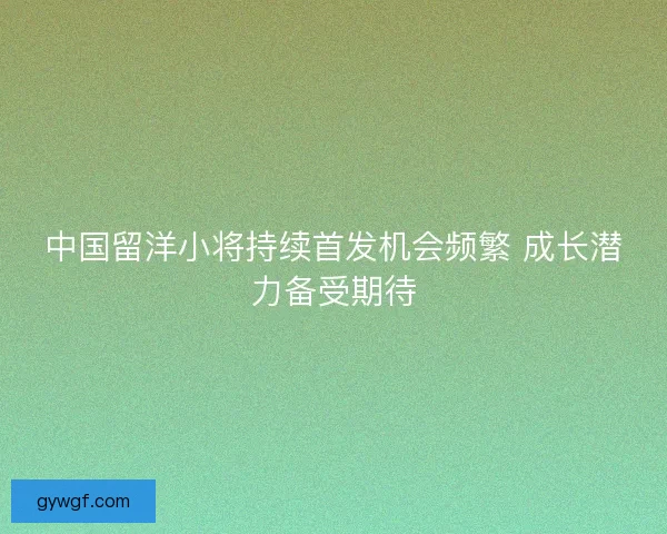 中国留洋小将持续首发机会频繁 成长潜力备受期待